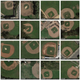 Satellite images of baseball diamonds